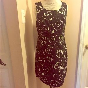 Limited Brand dress