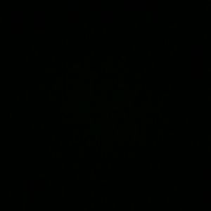 Meet your Posher, Kori