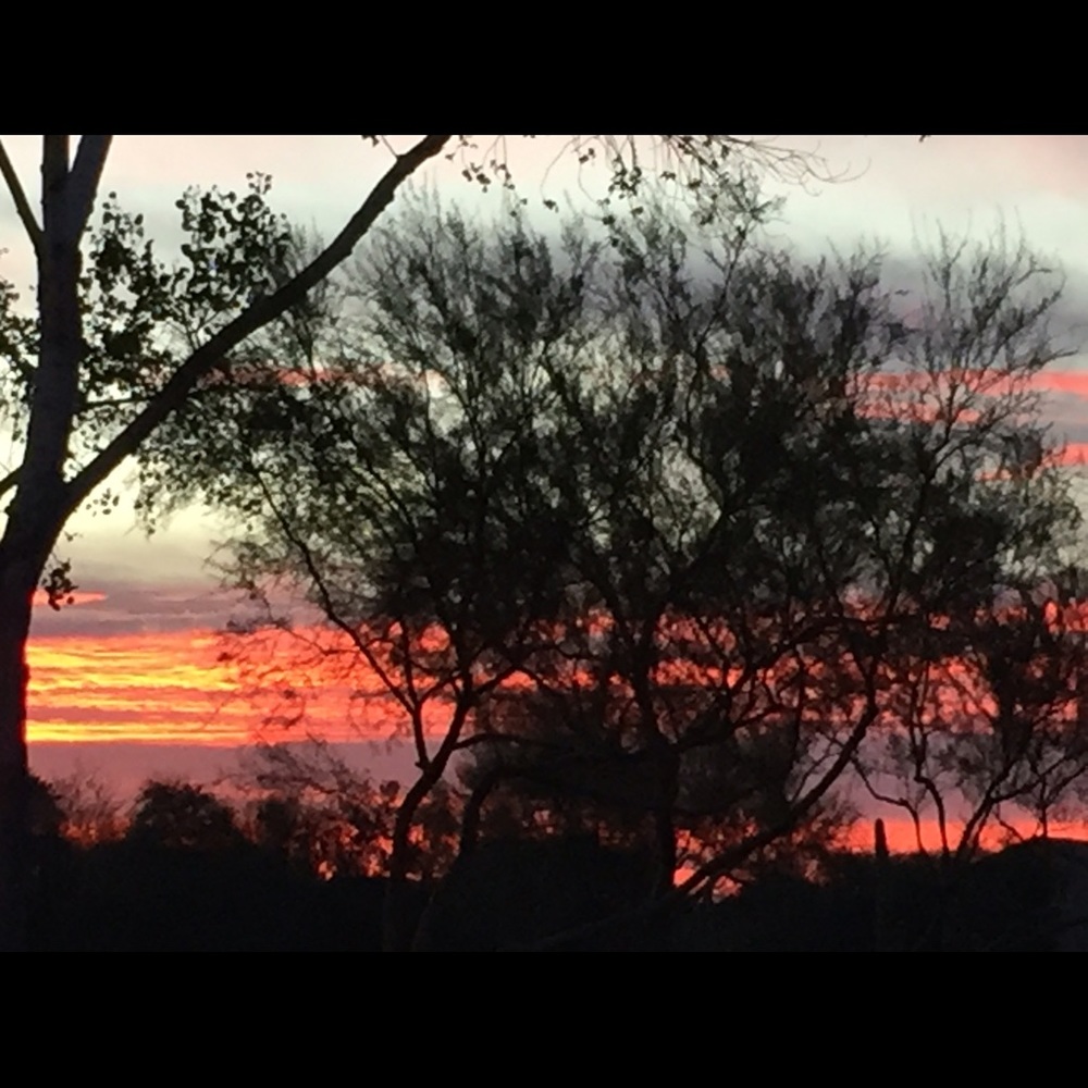 Meet your Posher, Deb