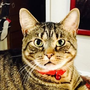 Meet your Posher, Norma