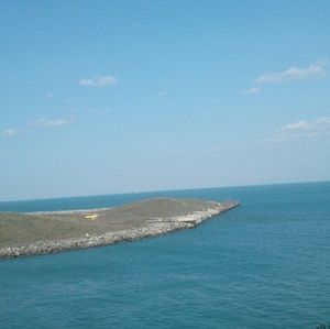 Meet your Posher, Cynthia