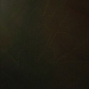 Meet your Posher, Chadae