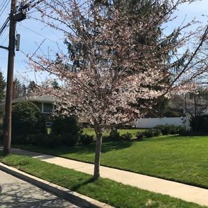 Meet your Posher, Saramma