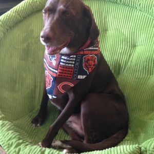 Meet your Posher, Stacy