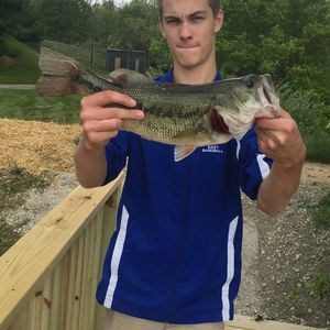 Meet your Posher, Kyle