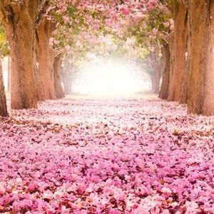 Meet your Posher, Lizeth