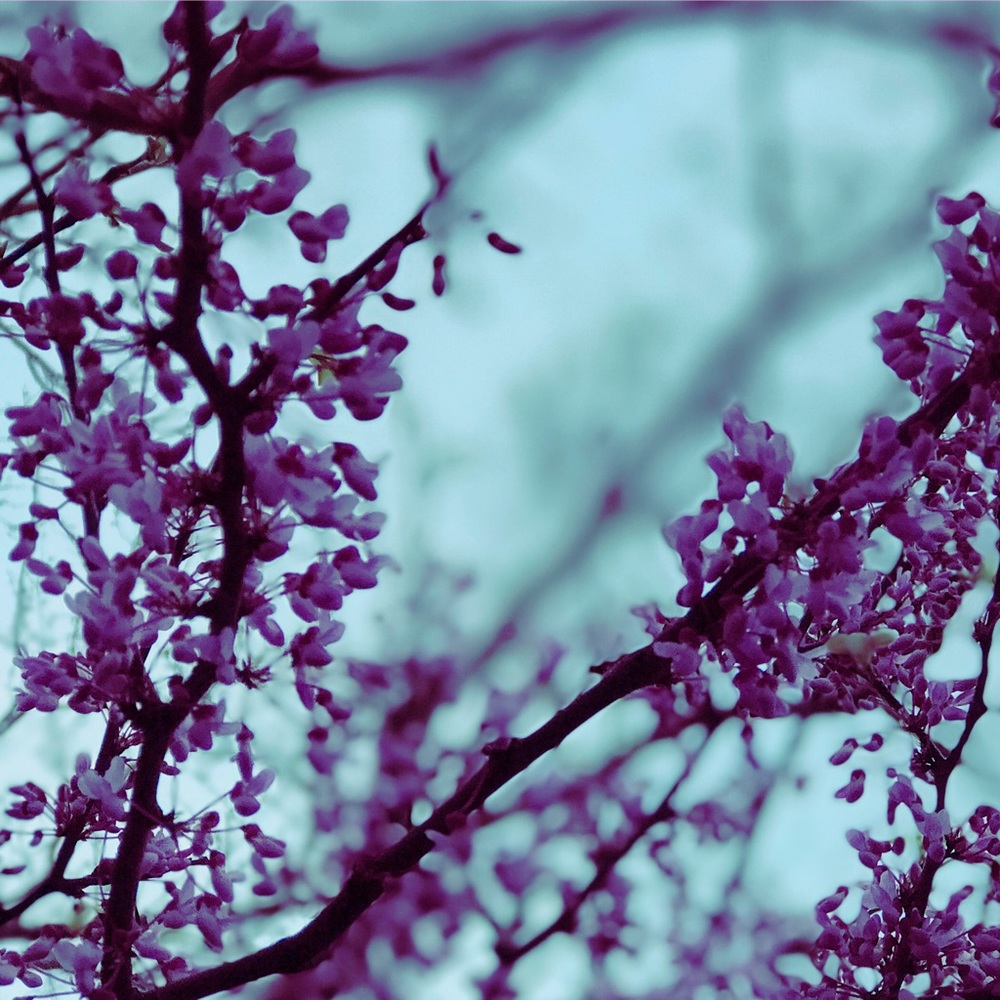 Meet your Posher, Ellina