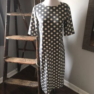 Boutique Polkadot Dress
