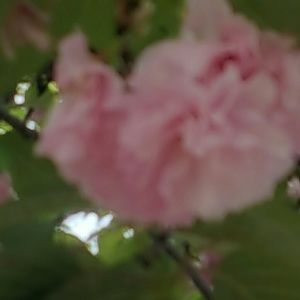 Meet your Posher, Beverly