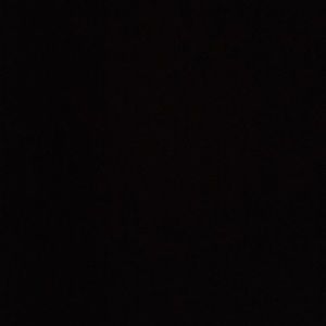 Meet your Posher, Armondo