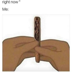 Meet your Posher, Devon