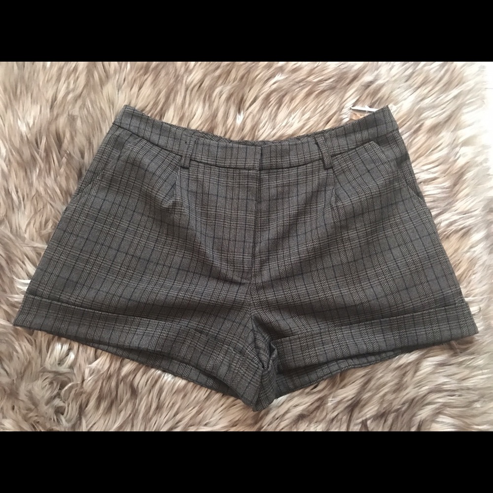 Dressy Shorts NWT
