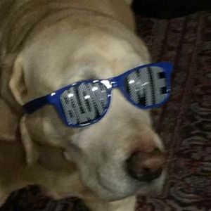 Meet your Posher, Jake