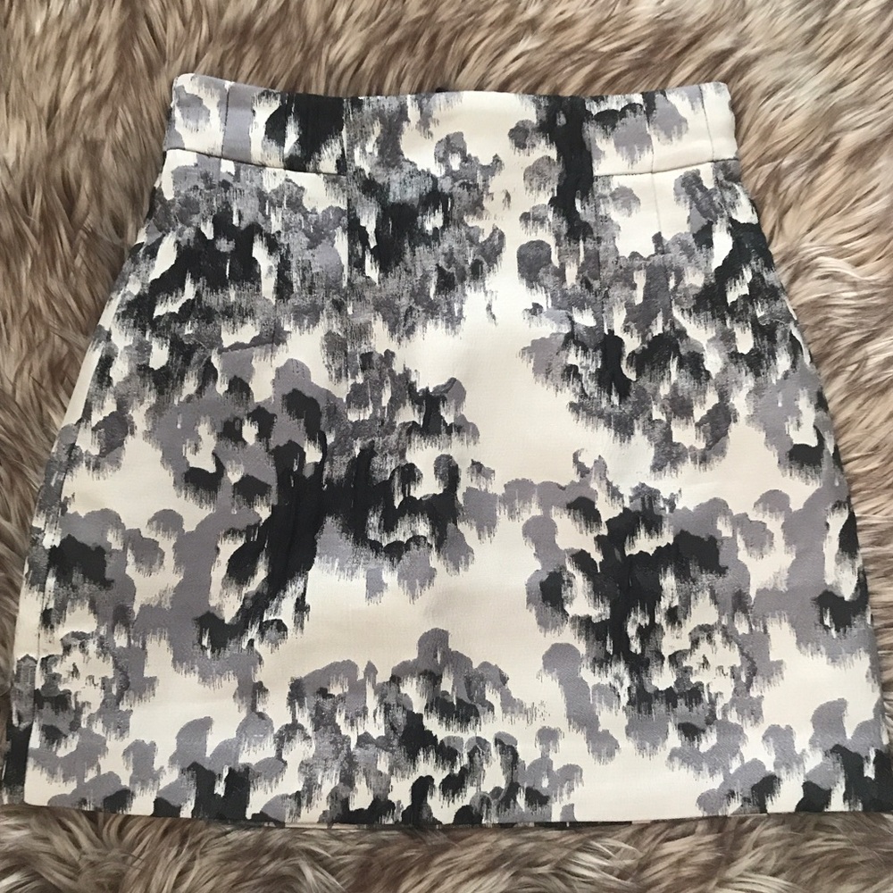 H&M Skirt