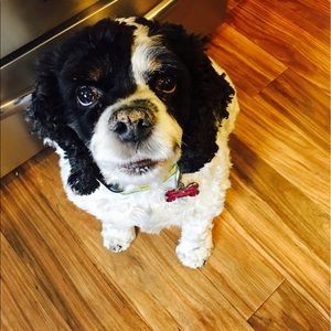 Meet your Posher, Megan