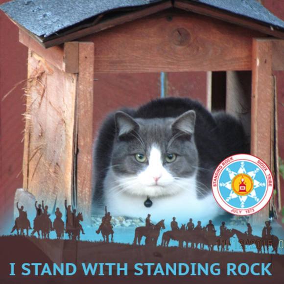 Meet your Posher, Carron - Picture 1 of 1