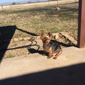 Meet your Posher, Donna