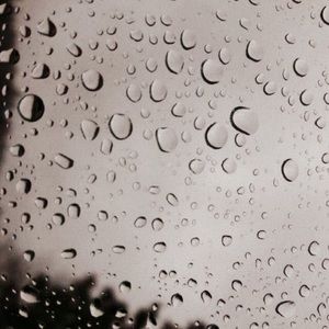 Meet your Posher, Cheyenne