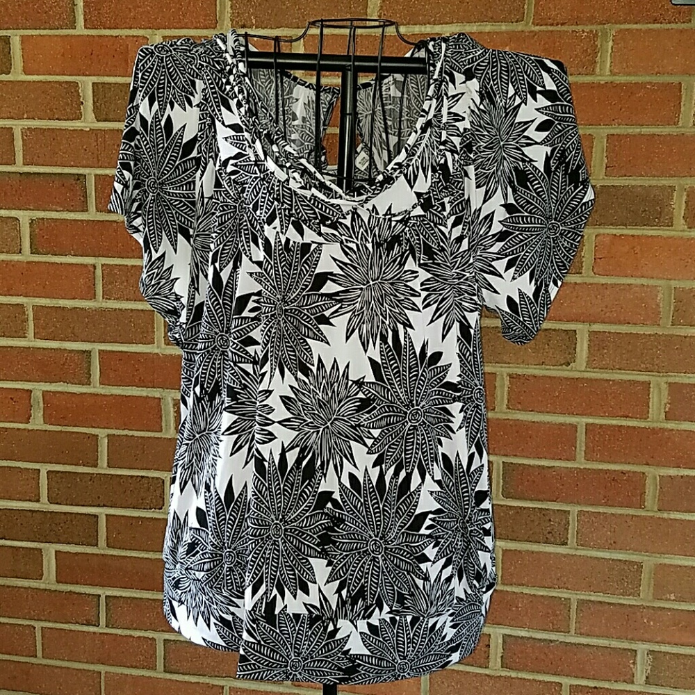 Cato's top