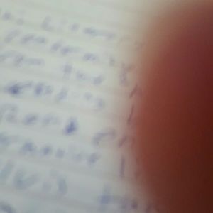 Meet your Posher, Matthew