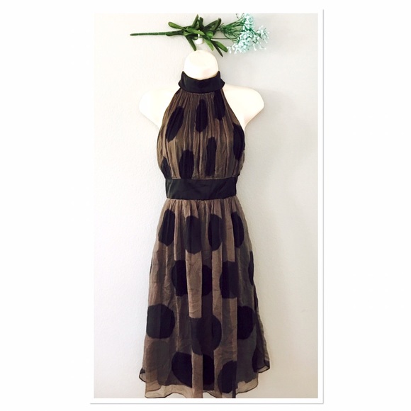 Zara Dresses & Skirts - Zara sleeveless Chiffon Dress