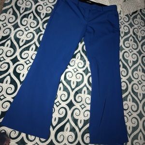 Blue Express Columnist Pants