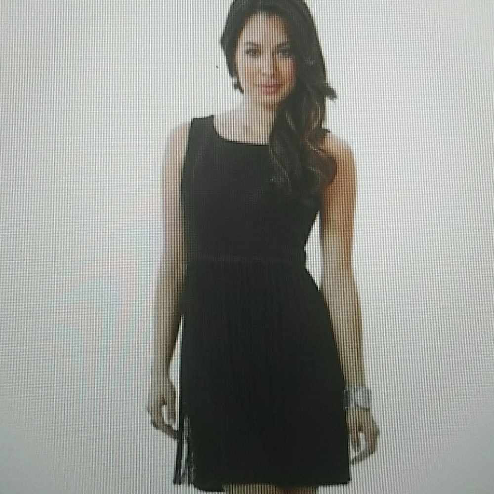 Dance The Night Away, Fringe Sheath Dress