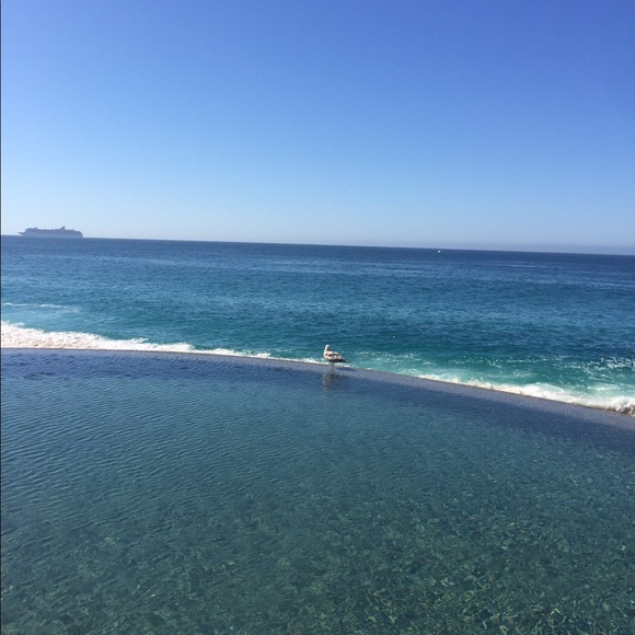 Meet your Posher, Lo&b - Picture 4 of 4