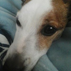 Meet your Posher, Francine