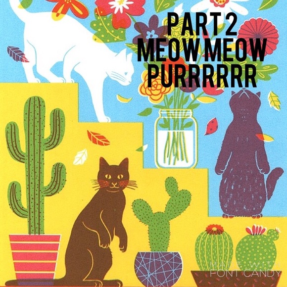 FULL!!! Thank y'all so much! Y'all are amazing! - Picture 3 of 5