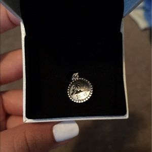 Hawaii Pandora Charm