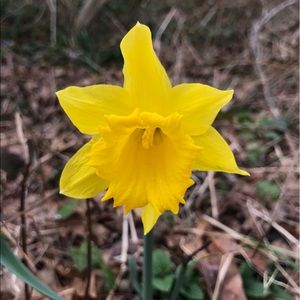 Meet your Posher, Joh