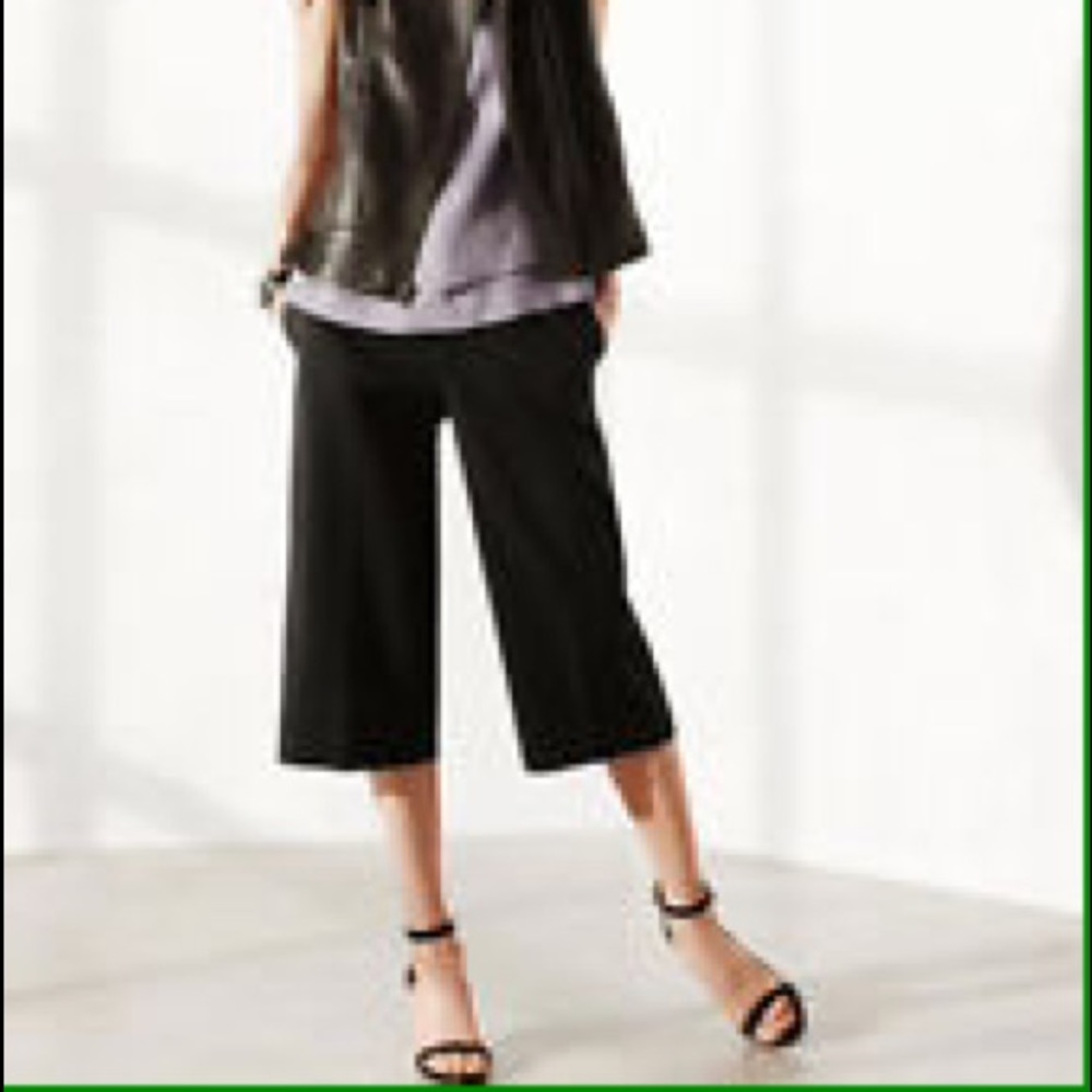 Isda & Co chambray wideleg crops