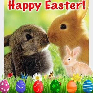 Meet your Posher, David jen