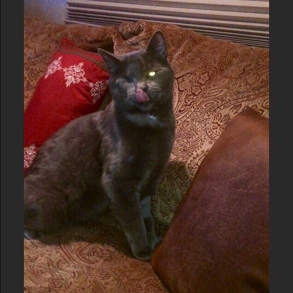 Meet your Posher, Angela - Picture 3 of 3