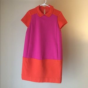 Fuschia and orange neoprene Peter Pan collar dress