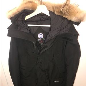 Canada goose