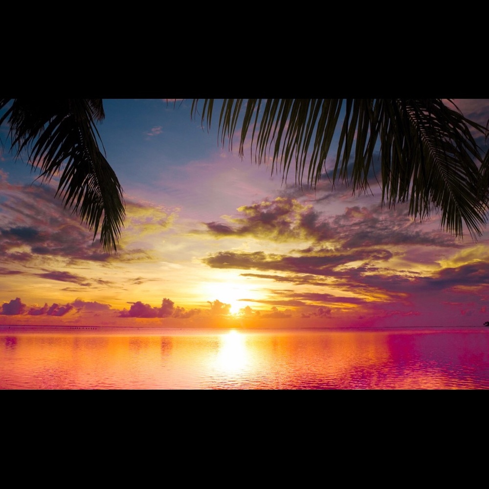 Meet your Posher, Joelle