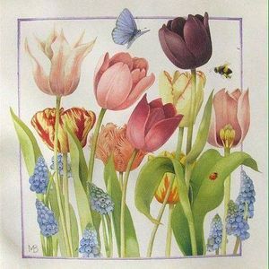 Meet your Posher, Susan mccaleb