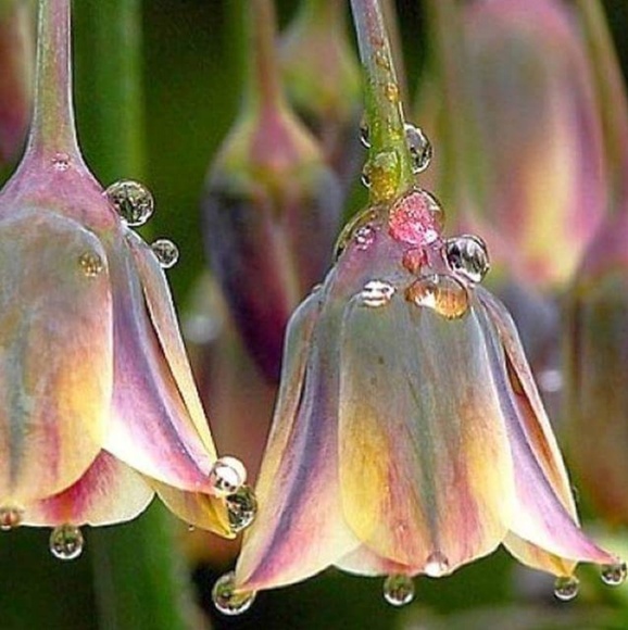 Meet your Posher! - Picture 2 of 2