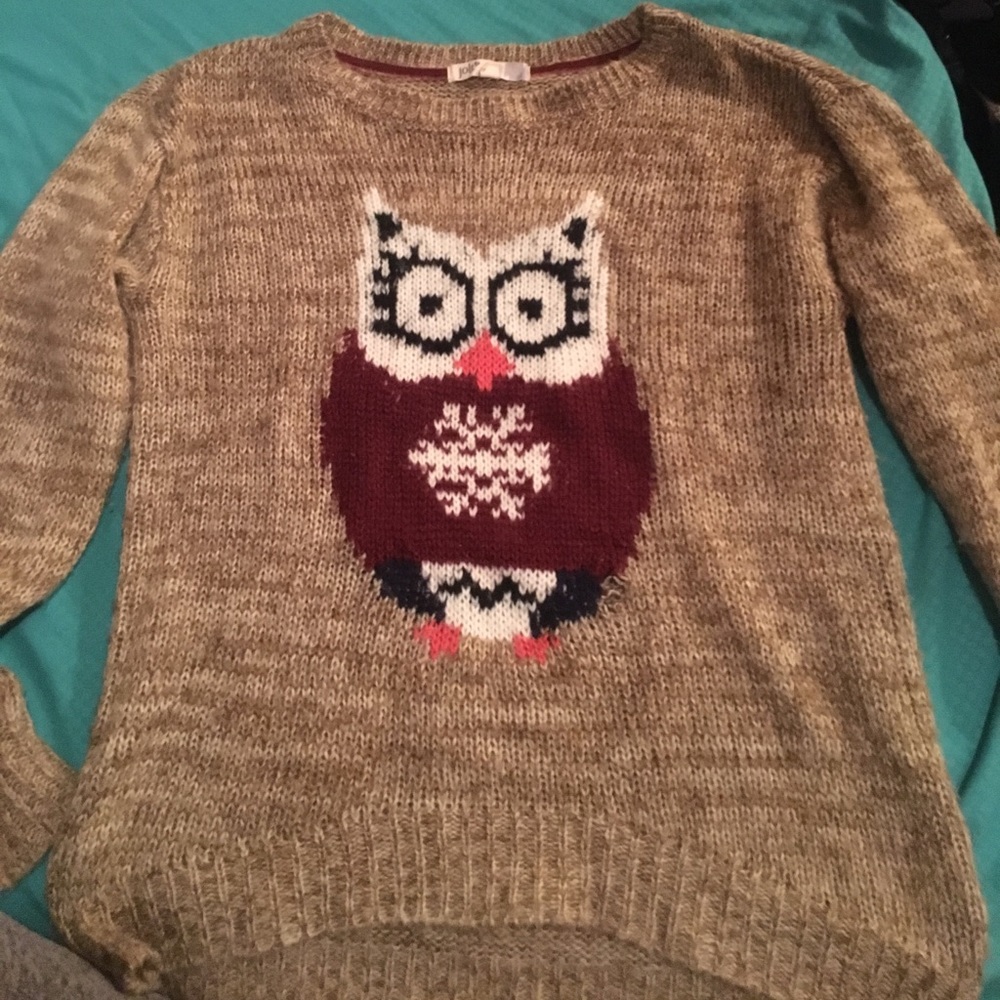 Cute owl sweater