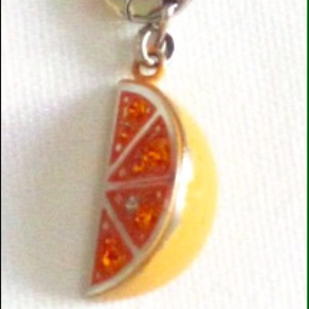 Fossil Orange Slice Charm