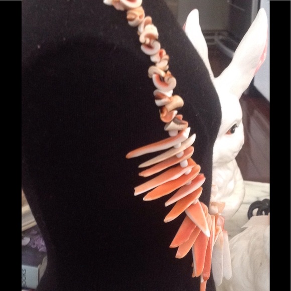 Coral Branch - Picture 4 of 5