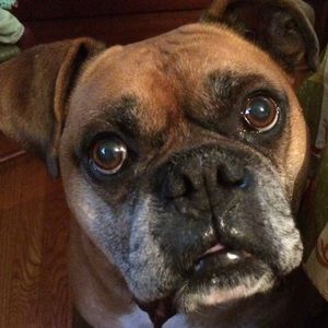 Meet your Posher, Kylie