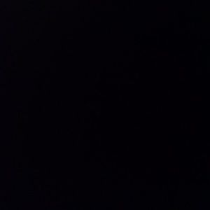 Meet your Posher, Ray