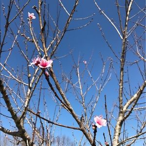 Meet your Posher, Audra