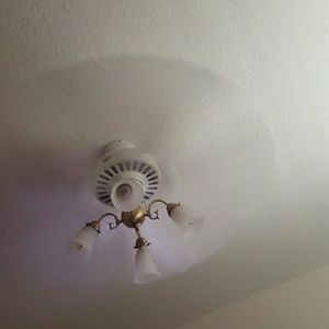 Meet your Posher, Abraham