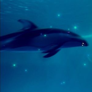 Meet your Posher, Annie