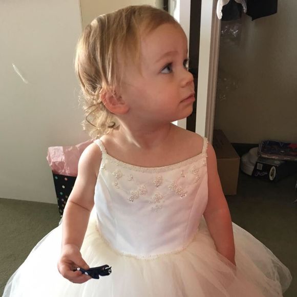 Meet your Posher, Kody - Picture 1 of 1