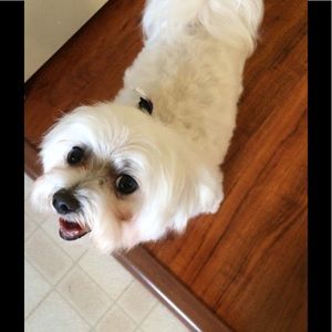 New items coming soon.